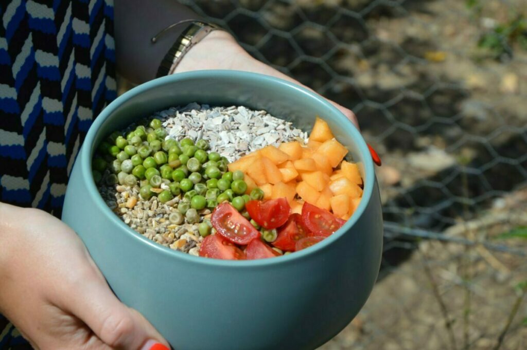 Les fruits et légumes frais favorisent l'hydratation des poules en été grâce à l'eau qu'ils contiennent.